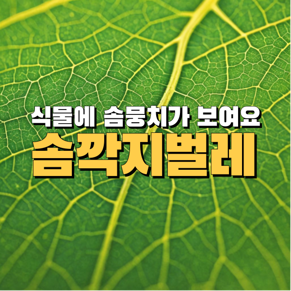 7485fc3d8b18643c03e4bea72bcd5069_1738414916_4905.png