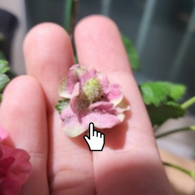 d9e3081793a5caa439dab39ae7627801_1740446064_304.png