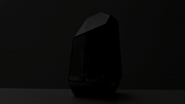 fb83192dbae6adfbb1cd512251a6fc11_1747790904_802.gif