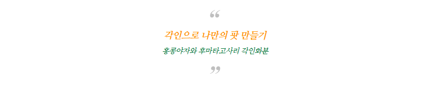 bd419faaa44d90fe8718c063872db95a_1749780539_2029.png