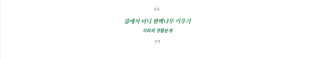 bd419faaa44d90fe8718c063872db95a_1749781317_9207.png