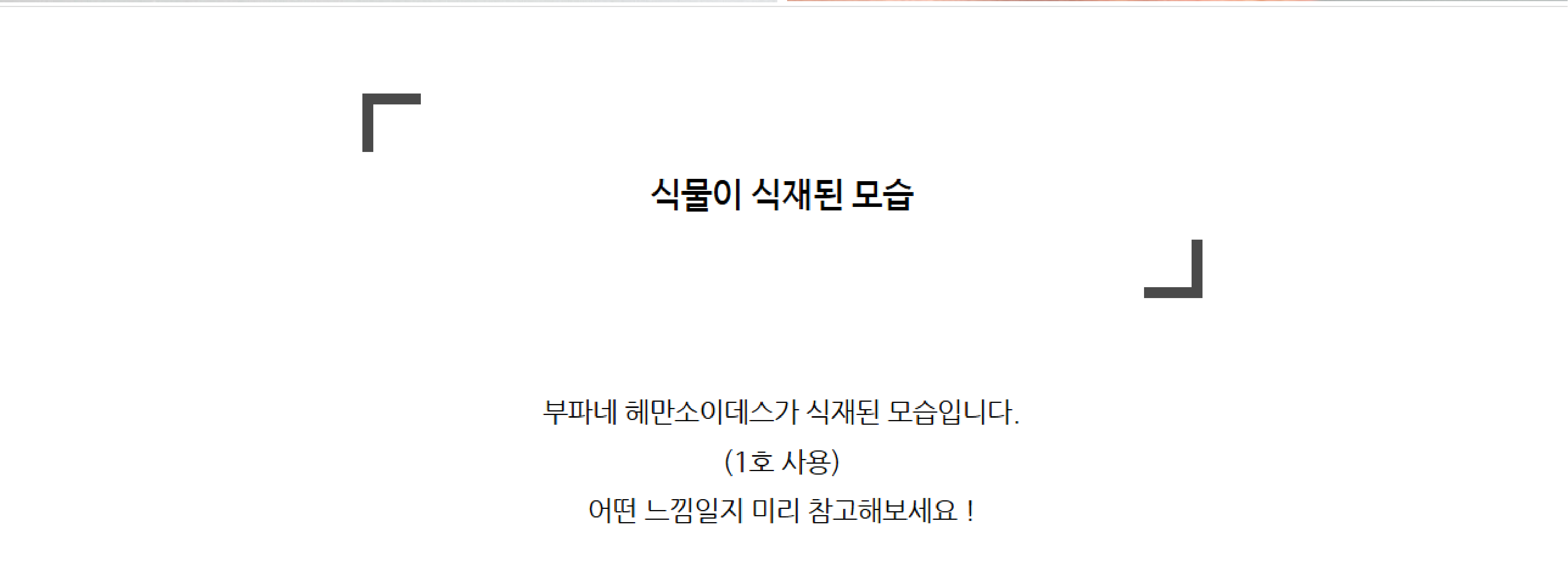 bd419faaa44d90fe8718c063872db95a_1749781607_7731.png