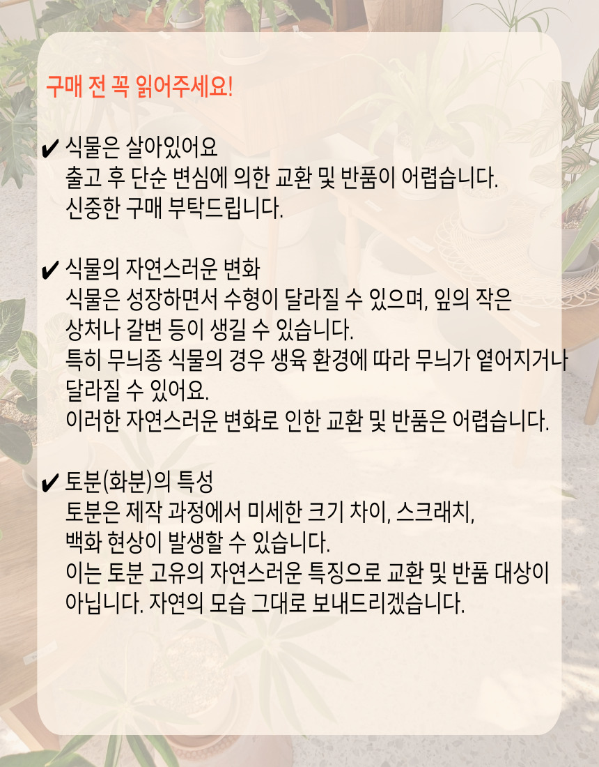 bd419faaa44d90fe8718c063872db95a_1749790580_5968.jpg