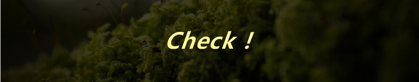d6679c80b08376dcf1c8370ef95f4d7a_1749432111_6127.png