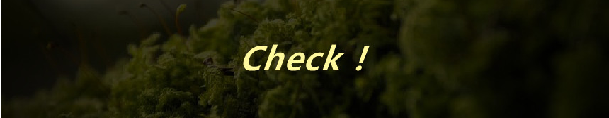 d6679c80b08376dcf1c8370ef95f4d7a_1749433832_7279.png
