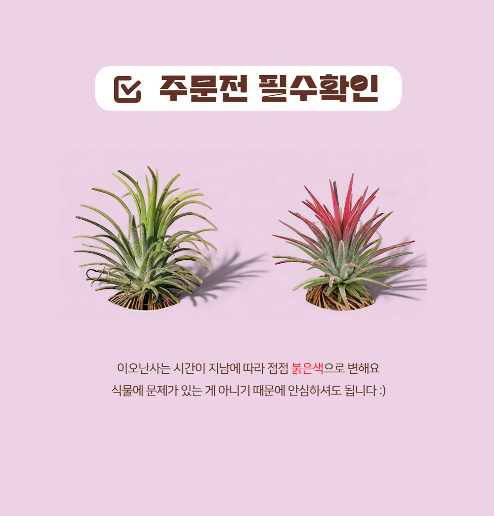 fec100ac0fe434ebef3be805443e74b0_1749619069_73.png