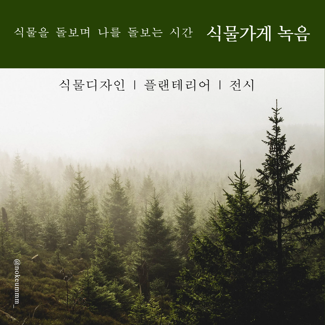 3e975ec8560e5d902a734231fa875a40_1751352698_7478.png