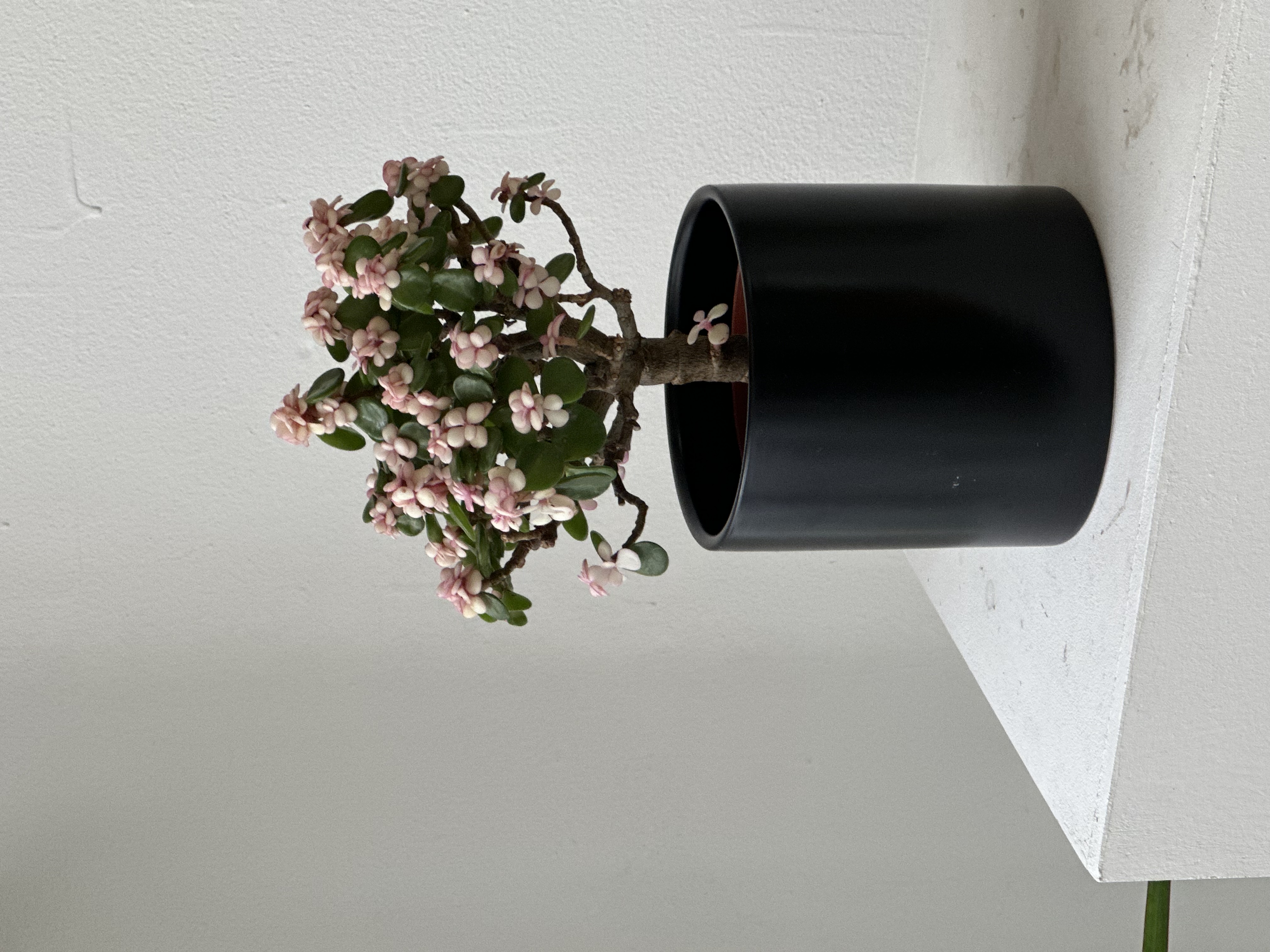 cb8c4d63630c44e092ae5ddd1ae823f3_1752136366_4794.jpg