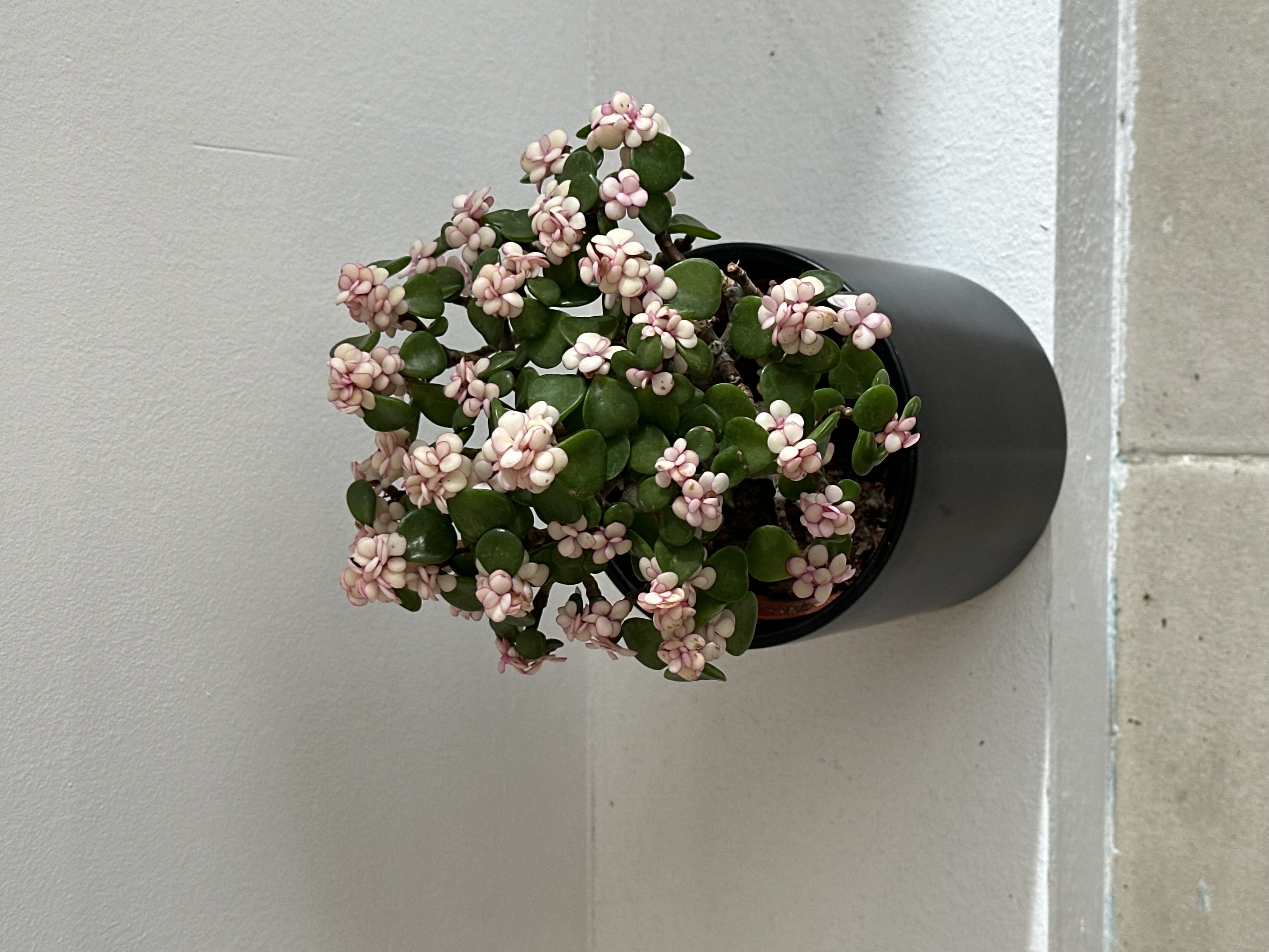 cb8c4d63630c44e092ae5ddd1ae823f3_1752136367_1005.jpg