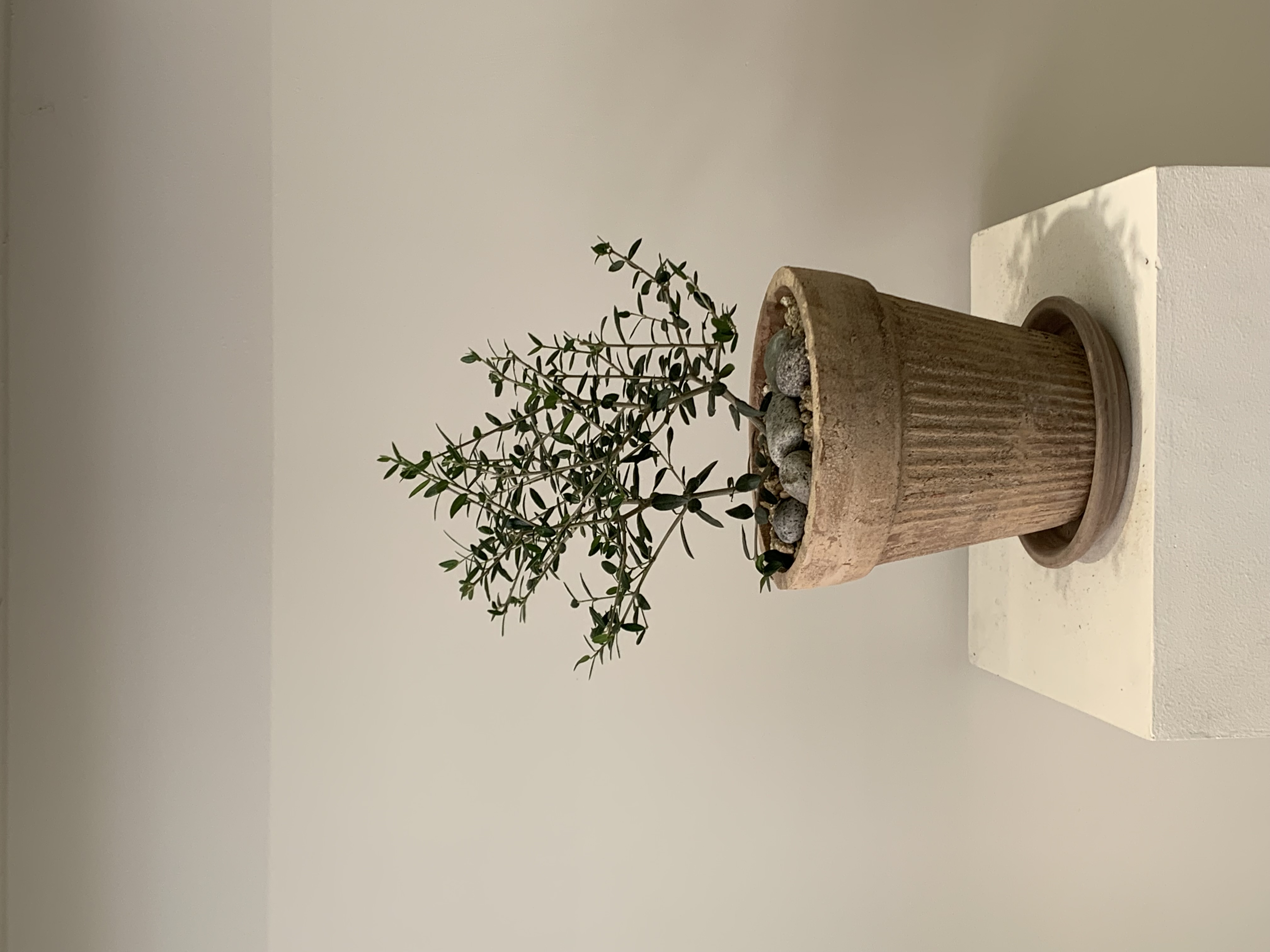 cb8c4d63630c44e092ae5ddd1ae823f3_1752136813_4513.jpg