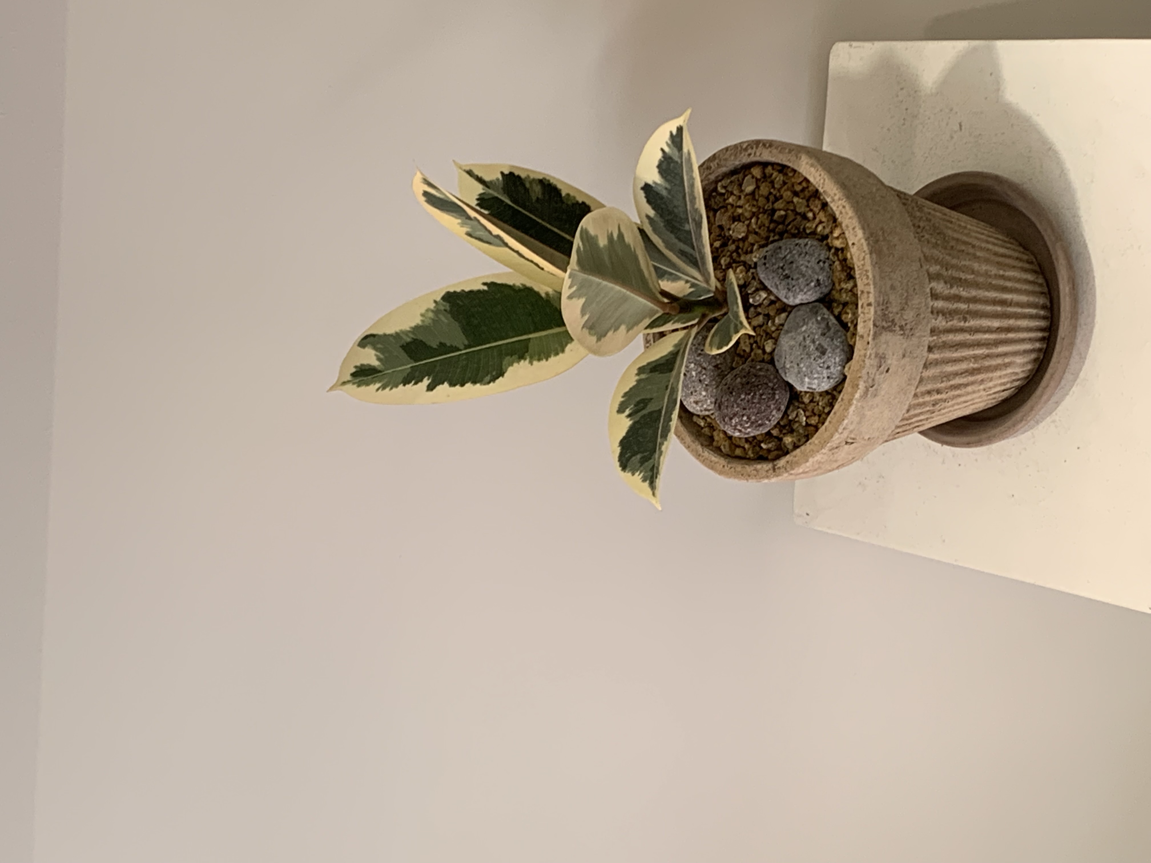 cb8c4d63630c44e092ae5ddd1ae823f3_1752137452_2771.jpg