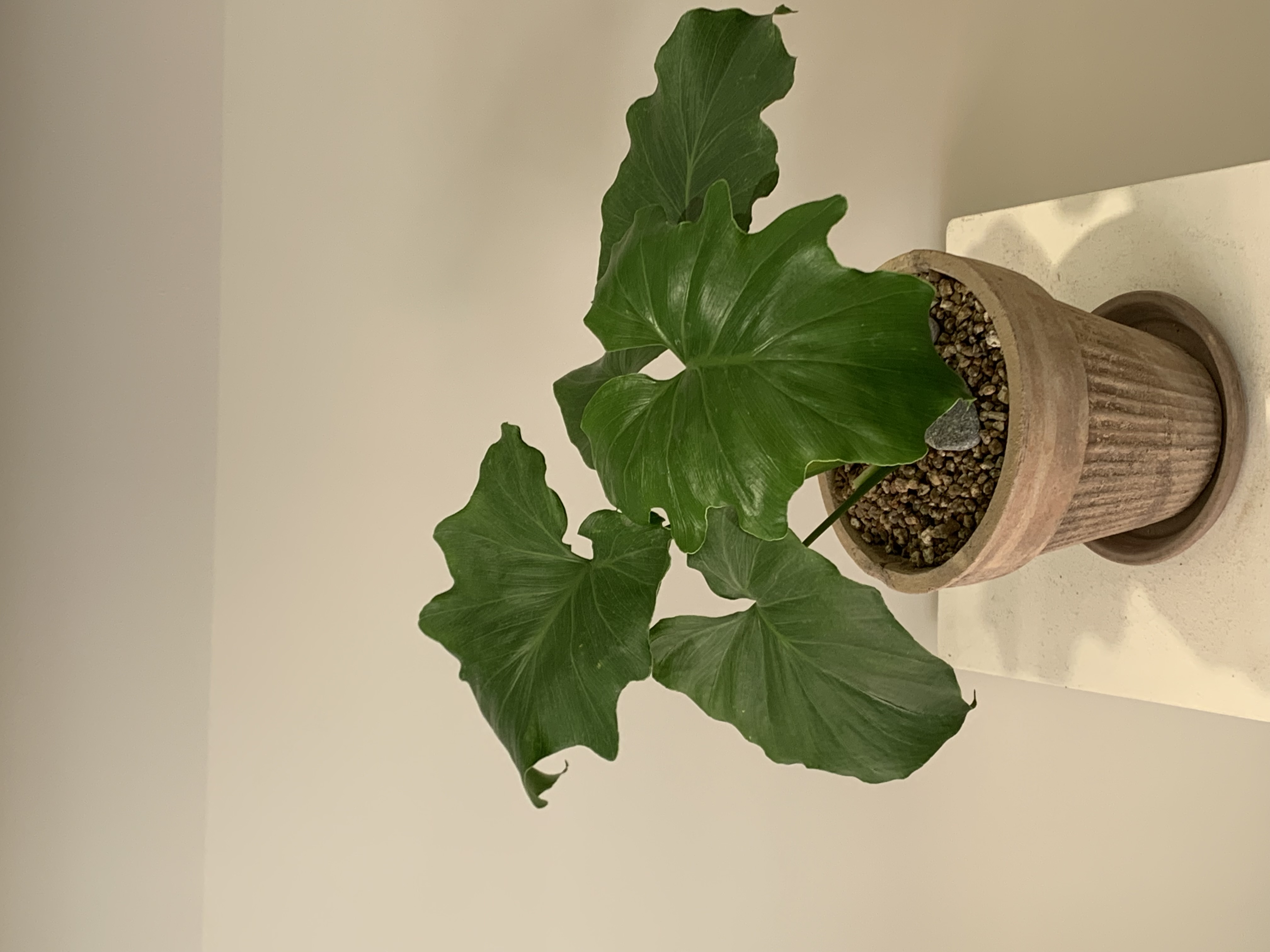 cb8c4d63630c44e092ae5ddd1ae823f3_1752137529_8717.jpg