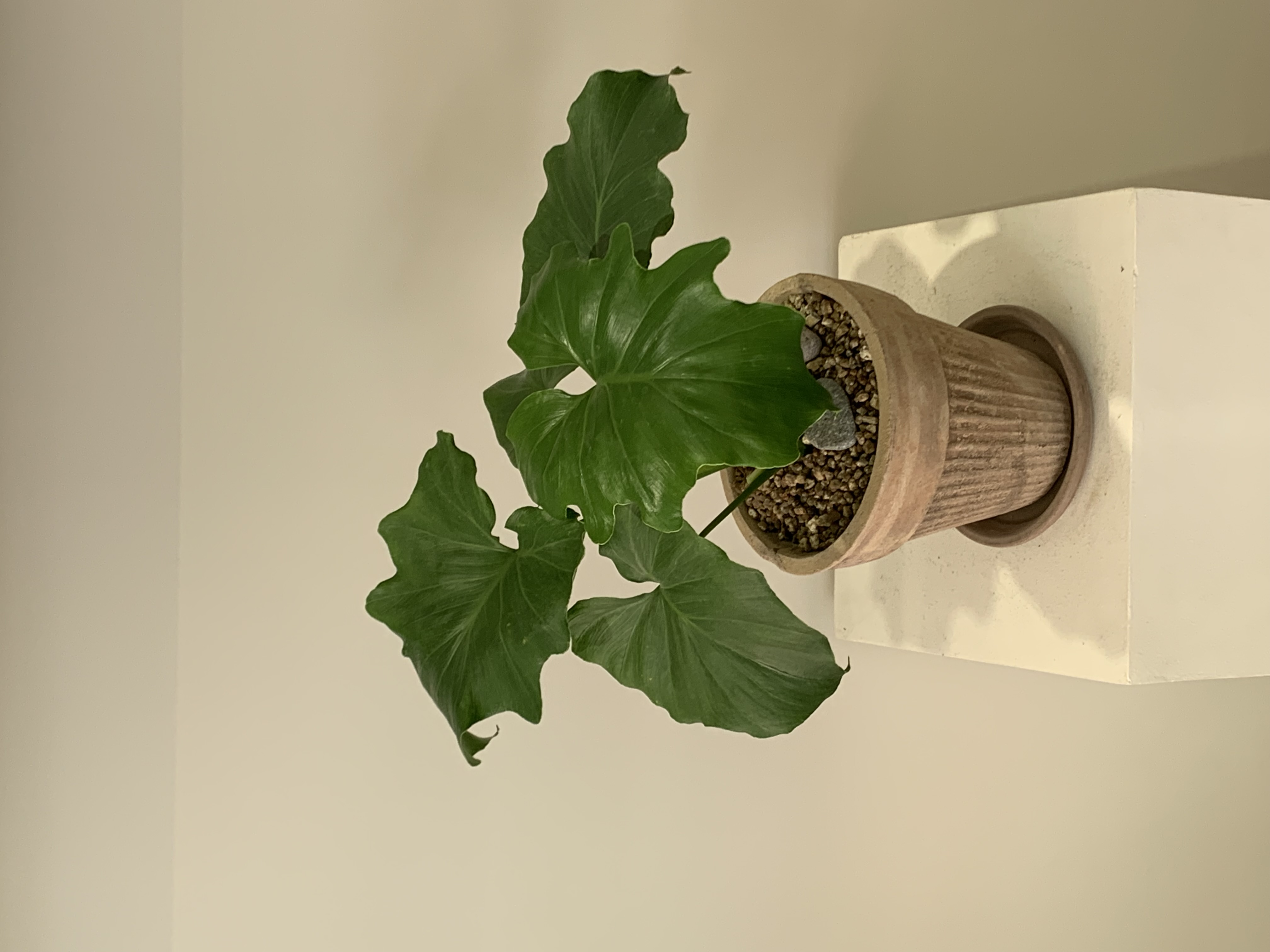 cb8c4d63630c44e092ae5ddd1ae823f3_1752137530_1059.jpg