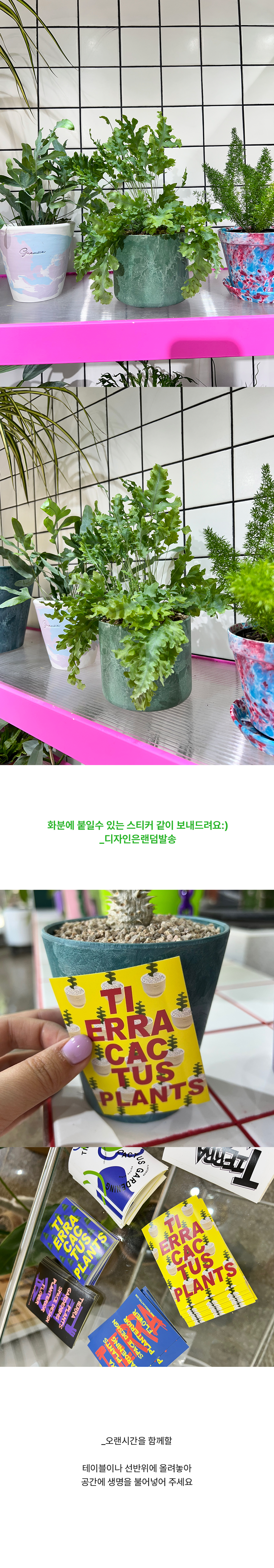 04aad9b1d3a83beed09d44be566004c4_1755503615_7925.png