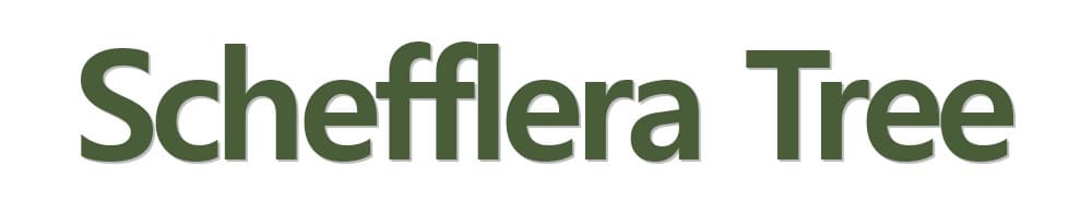 a9b8399cc751082db9213d77095affaf_1755838580_9467.jpg