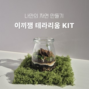 이끼잼 테라리움 키트