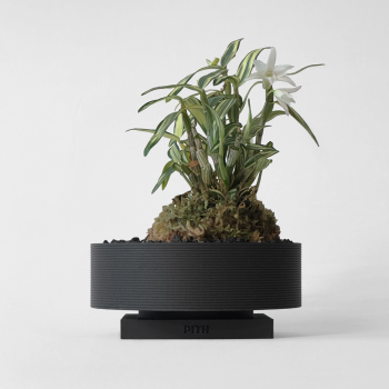 PITH MODI LOW - Matt Black