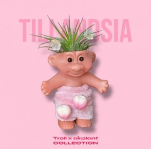 아몽쿠 이오난사 복숭아 트롤