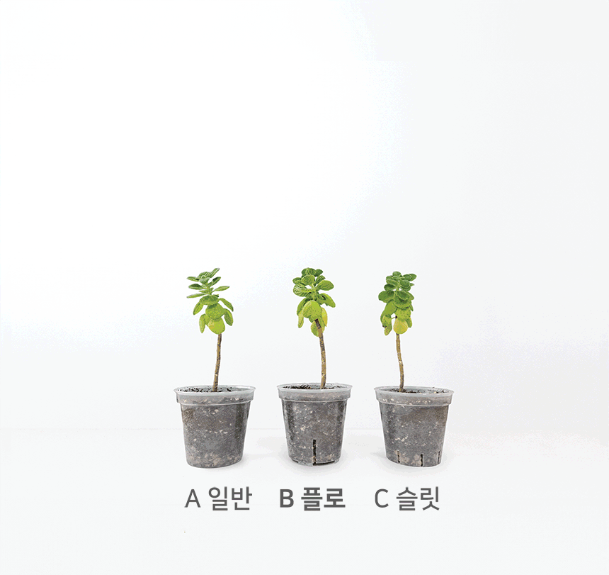 5b1d4f863d72965618f8d9a7e4bf8d6d_1758873671_8387.gif 5b1d4f863d72965618f8d9a7e4bf8d6d_1758873671_8387.gif