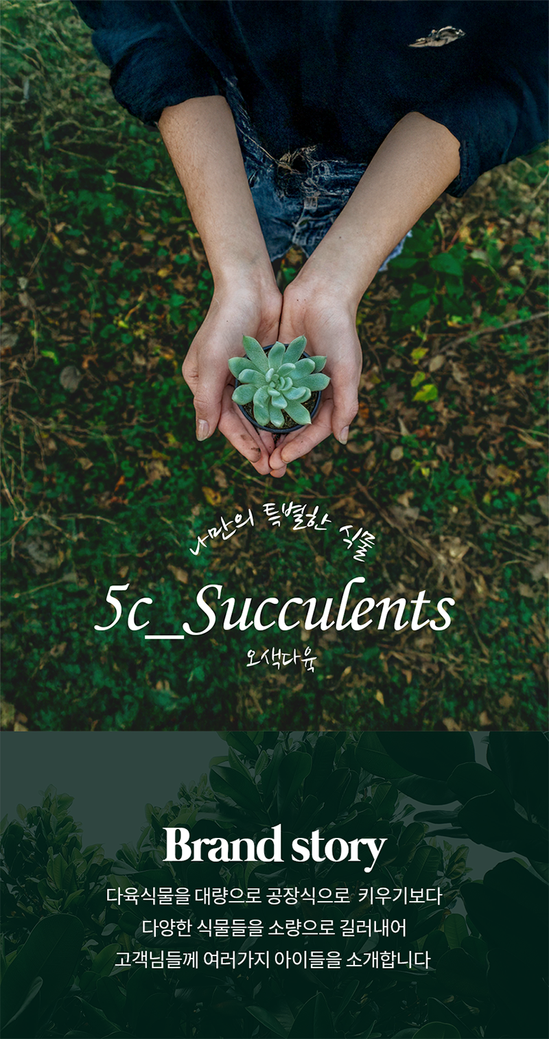 6480e59582c6c71cef83fc5da0114a23_1759043587_4689.png 6480e59582c6c71cef83fc5da0114a23_1759043587_4689.png