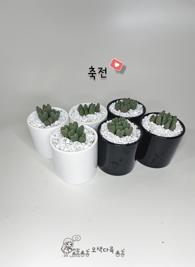 6480e59582c6c71cef83fc5da0114a23_1759043600_0241.png 6480e59582c6c71cef83fc5da0114a23_1759043600_0241.png