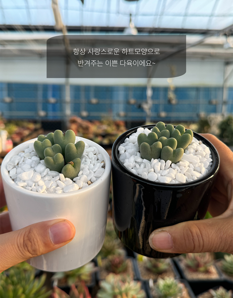 6480e59582c6c71cef83fc5da0114a23_1759043600_3357.png 6480e59582c6c71cef83fc5da0114a23_1759043600_3357.png