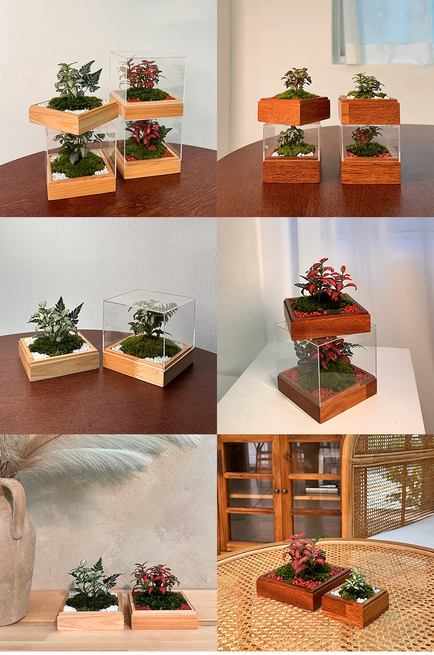 7ef4a91804cc07759f8f07d3a1c8f2cf_1759305590_1199.png 7ef4a91804cc07759f8f07d3a1c8f2cf_1759305590_1199_1759305670.png