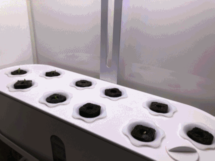 958c8682b2ff9fd541d270af4474ce01_1759386588_0335.gif 958c8682b2ff9fd541d270af4474ce01_1759386588_0335.gif