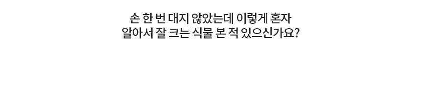 958c8682b2ff9fd541d270af4474ce01_1759386588_1161.jpg 958c8682b2ff9fd541d270af4474ce01_1759386588_1161.jpg