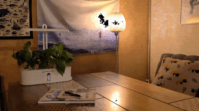 958c8682b2ff9fd541d270af4474ce01_1759386665_8874.gif 958c8682b2ff9fd541d270af4474ce01_1759386665_8874.gif