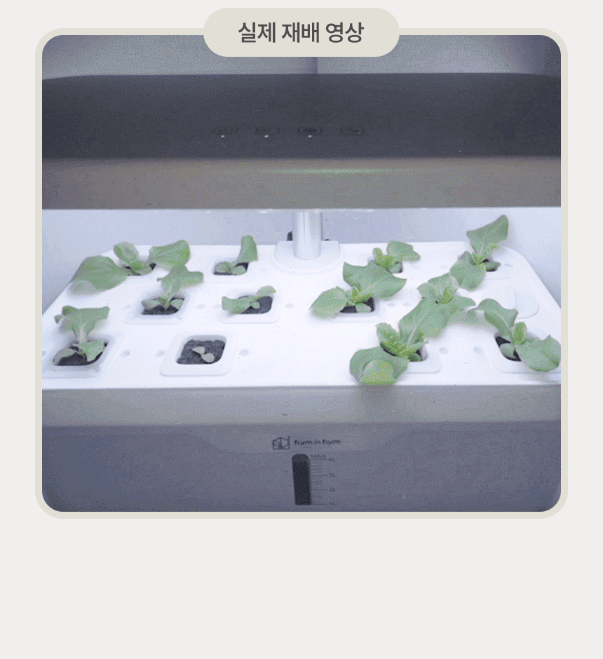 958c8682b2ff9fd541d270af4474ce01_1759386888_539.gif 958c8682b2ff9fd541d270af4474ce01_1759386888_539.gif