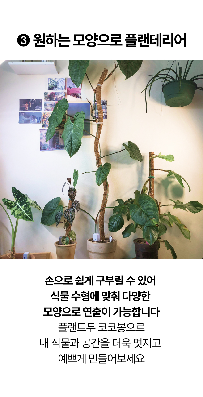 9994c5c74fea03069ccfcab87c6c0f38_1760843869_0223.jpg 9994c5c74fea03069ccfcab87c6c0f38_1760843869_0223.jpg