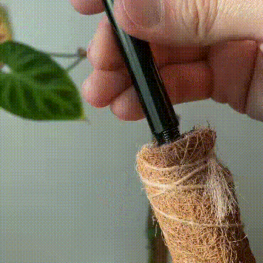 9994c5c74fea03069ccfcab87c6c0f38_1760844000_0508.gif 9994c5c74fea03069ccfcab87c6c0f38_1760844000_0508.gif