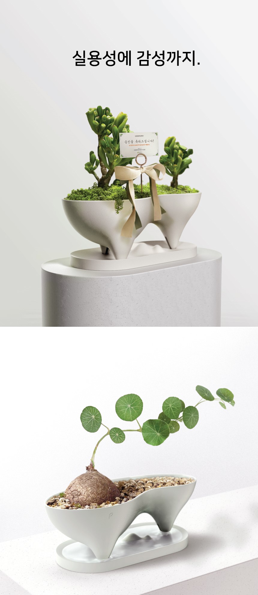 f721cd3c5d4e648729d4de38e47fa0c3_1760325838_8699.jpg f721cd3c5d4e648729d4de38e47fa0c3_1760325838_8699.jpg