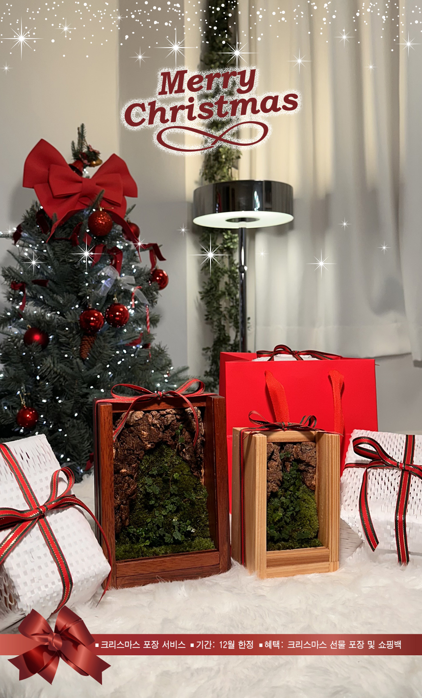 39fb60d7ab2ee096b3ace12d06fd3c4d_1764494560_2049.jpg 39fb60d7ab2ee096b3ace12d06fd3c4d_1764494560_2049.jpg