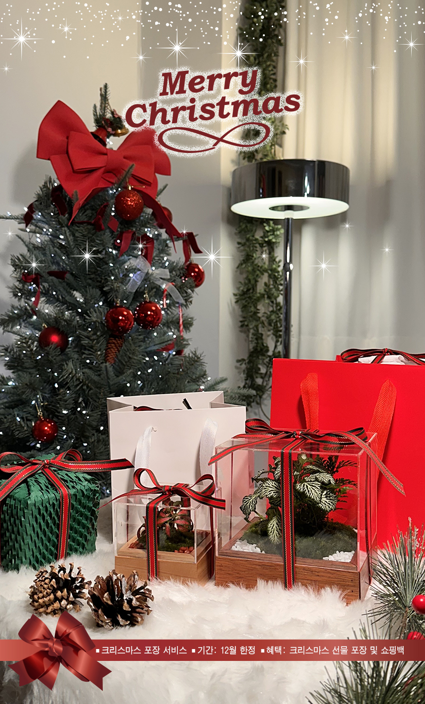 39fb60d7ab2ee096b3ace12d06fd3c4d_1764494880_4987.jpg 39fb60d7ab2ee096b3ace12d06fd3c4d_1764494880_4987.jpg