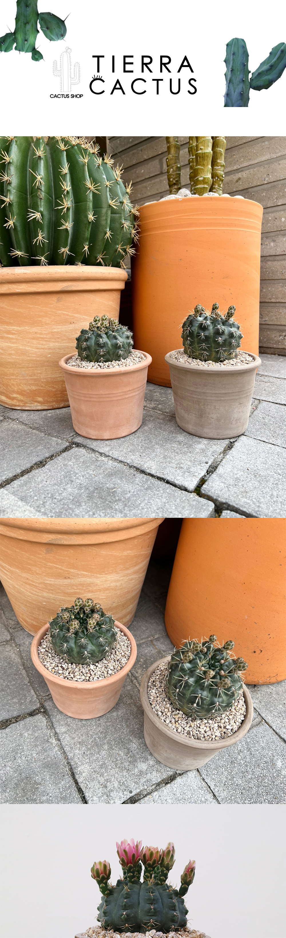 cabf13d86db46b0fbbdaaf2644031775_1764817870_3828.jpg cabf13d86db46b0fbbdaaf2644031775_1764817870_3828.jpg