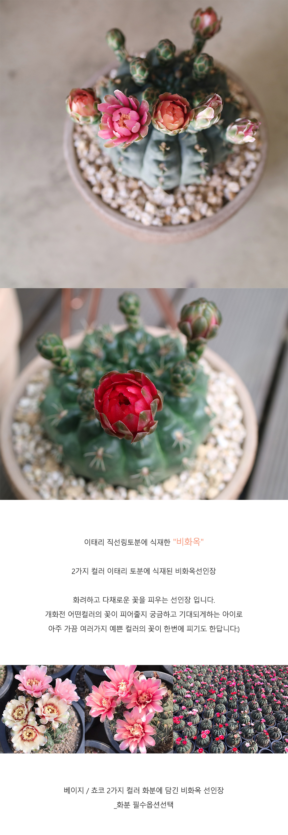 cabf13d86db46b0fbbdaaf2644031775_1764817871_4888.jpg cabf13d86db46b0fbbdaaf2644031775_1764817871_4888.jpg