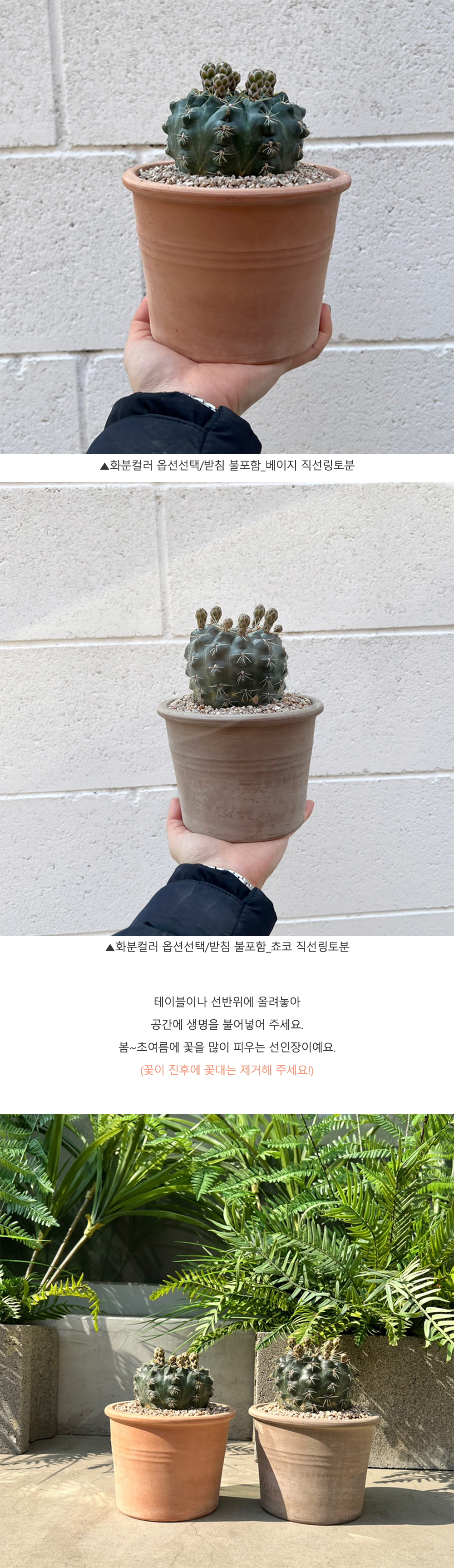 cabf13d86db46b0fbbdaaf2644031775_1764817872_7701.jpg cabf13d86db46b0fbbdaaf2644031775_1764817872_7701.jpg