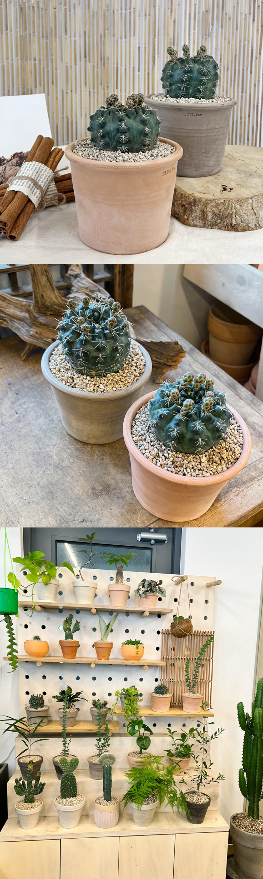 cabf13d86db46b0fbbdaaf2644031775_1764817885_9327.jpg cabf13d86db46b0fbbdaaf2644031775_1764817885_9327.jpg