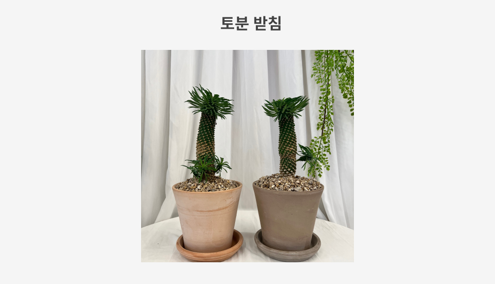 cabf13d86db46b0fbbdaaf2644031775_1764817929_0345.png cabf13d86db46b0fbbdaaf2644031775_1764817929_0345.png