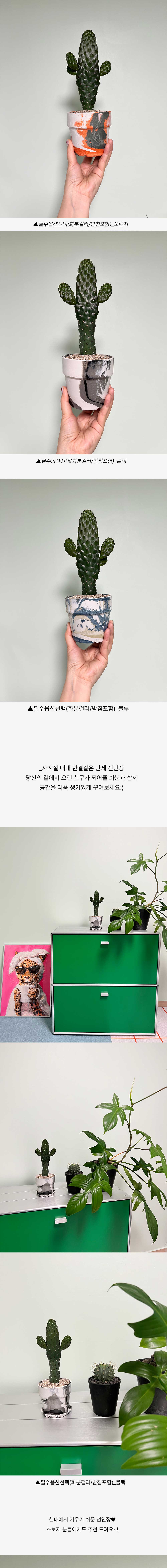 cabf13d86db46b0fbbdaaf2644031775_1764833152_1832.jpg cabf13d86db46b0fbbdaaf2644031775_1764833152_1832.jpg