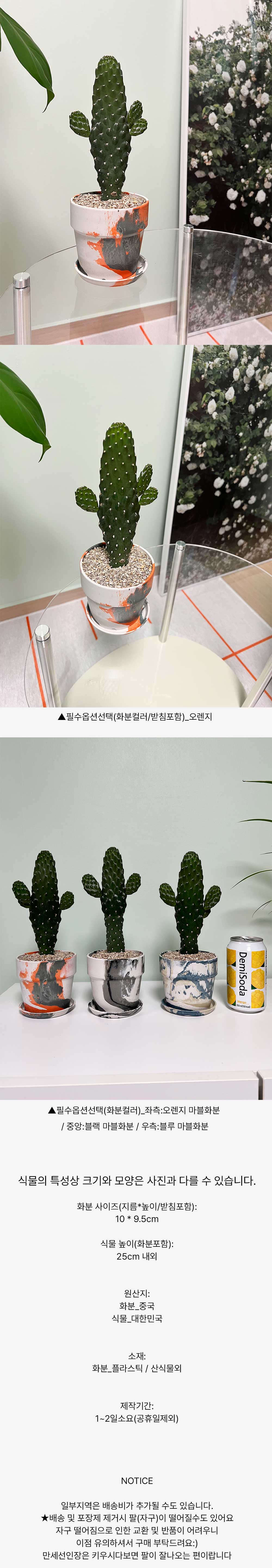 cabf13d86db46b0fbbdaaf2644031775_1764833152_4719.jpg cabf13d86db46b0fbbdaaf2644031775_1764833152_4719.jpg