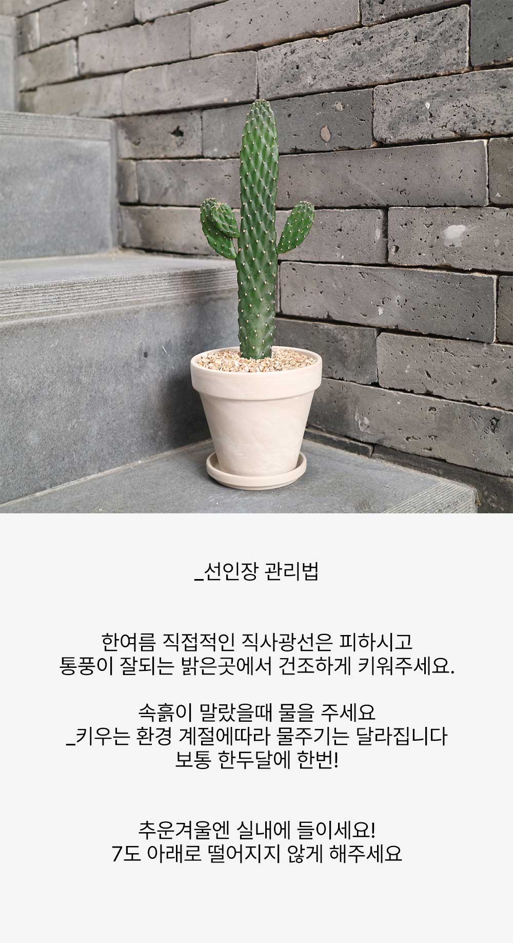 cabf13d86db46b0fbbdaaf2644031775_1764833152_5732.jpg cabf13d86db46b0fbbdaaf2644031775_1764833152_5732.jpg