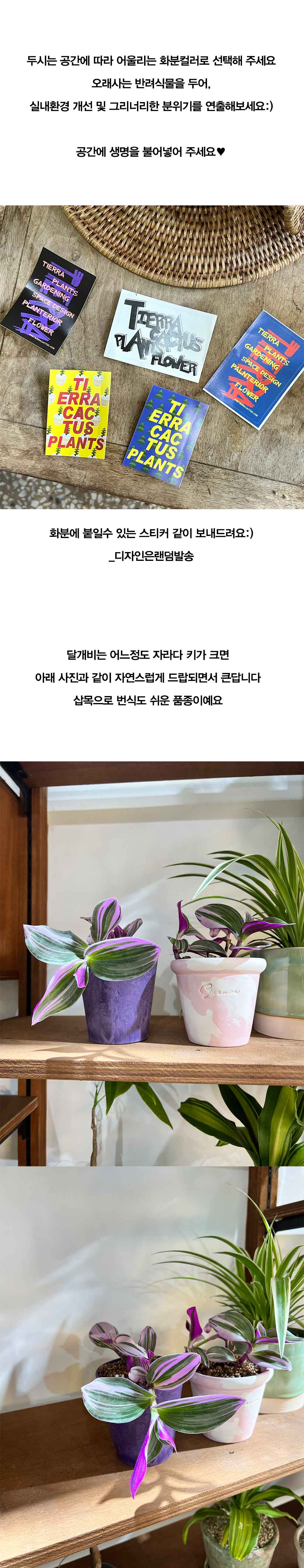 cabf13d86db46b0fbbdaaf2644031775_1764835298_7097.jpg cabf13d86db46b0fbbdaaf2644031775_1764835298_7097.jpg