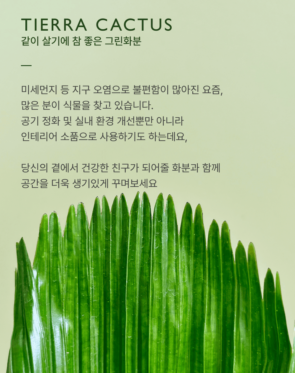 cabf13d86db46b0fbbdaaf2644031775_1764836087_0175.png cabf13d86db46b0fbbdaaf2644031775_1764836087_0175.png