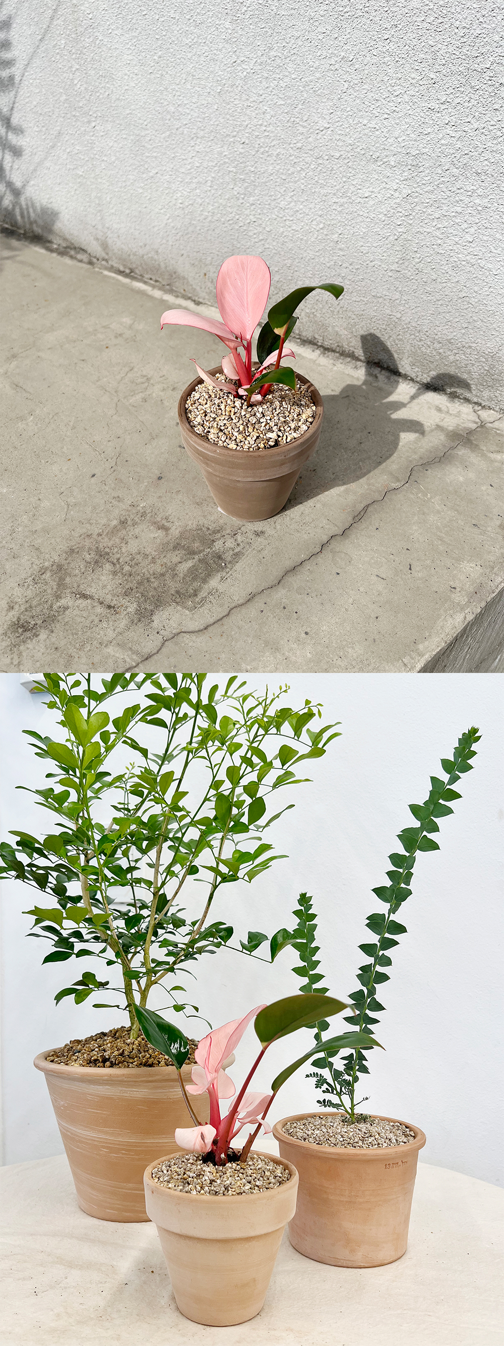 cabf13d86db46b0fbbdaaf2644031775_1764841021_6761.jpg cabf13d86db46b0fbbdaaf2644031775_1764841021_6761.jpg