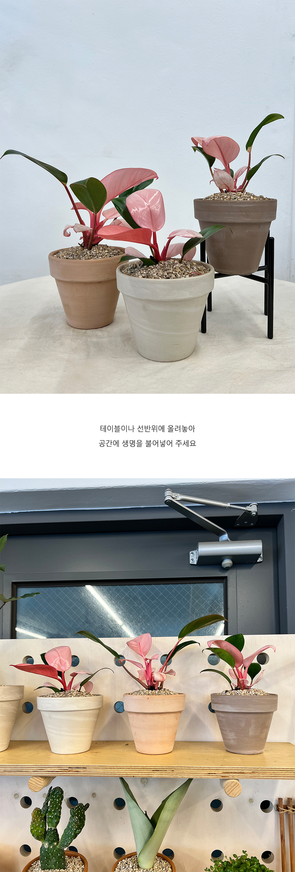 cabf13d86db46b0fbbdaaf2644031775_1764841021_9821.jpg cabf13d86db46b0fbbdaaf2644031775_1764841021_9821.jpg