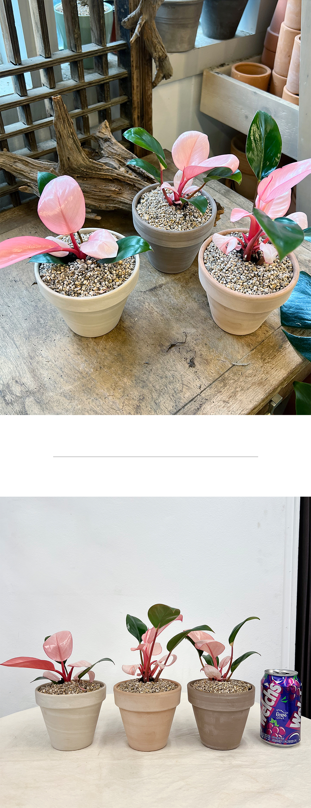 cabf13d86db46b0fbbdaaf2644031775_1764841022_7126.jpg cabf13d86db46b0fbbdaaf2644031775_1764841022_7126.jpg