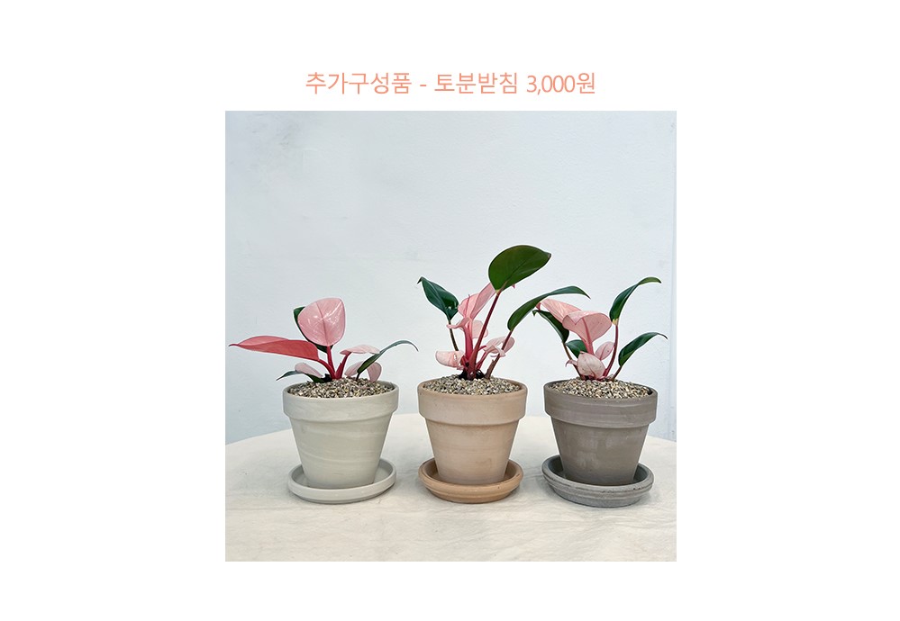 cabf13d86db46b0fbbdaaf2644031775_1764841032_7855.jpg cabf13d86db46b0fbbdaaf2644031775_1764841032_7855.jpg